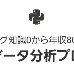 ビジネスデータを分析プログラマー