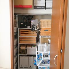 押入れの収納