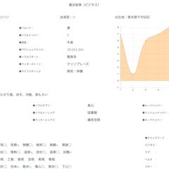鑑定結果（ビジネス）サンプル