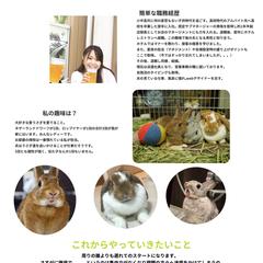 はじめてのポートフォリオ