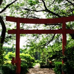 占い　霊視　ヒーリング　恋愛　仕事　健康