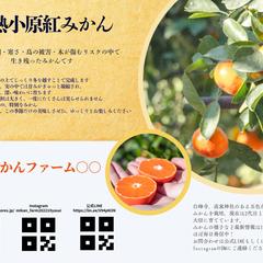みかんの農家様の商品同梱チラシ