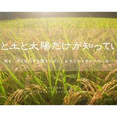 HPとBASEショップ開設と運用