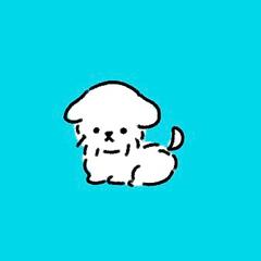 ペットの白いふわふわわんちゃん
