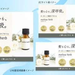 40代女性向けオーガニックヘアケアブランドビジュアル