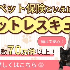 ペット保険集客用バナー 【640×360】