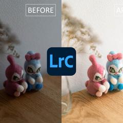 Lightroomによる写真加工・レタッチ