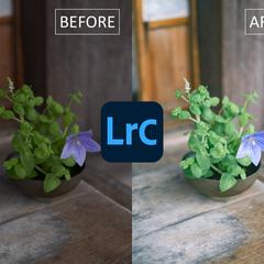Lightroomによる写真加工・レタッチ