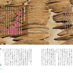 PR誌