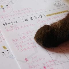 九星気学　傾斜宮