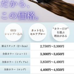 カラーのみを実施する専門店のチラシ