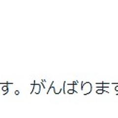 購入者様からのご評価