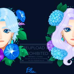 星の子と花