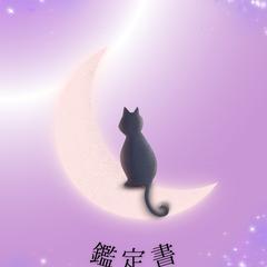 鑑定書の1ページ目