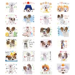 スタンプ24個セット_ご紹介