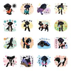 スタンプ16個セット_ご紹介
