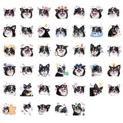 写真絵文字40個セット_ご紹介