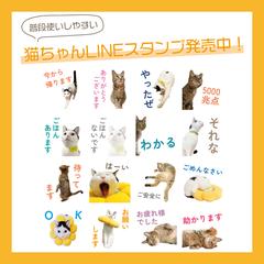 うちのこのLINEスタンプ