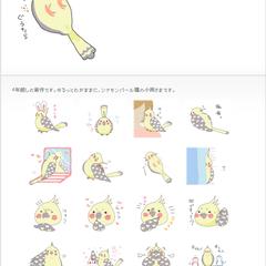 うちのインコのLINEスタンプ
