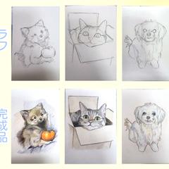お写真をもとにした色鉛筆による手描き原画制作