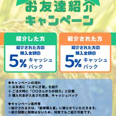 ブランド用紹介キャンペーンチラシ制作例