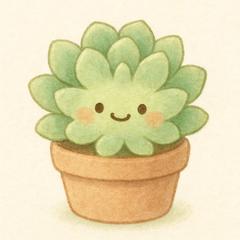 ゆるふわ果肉植物