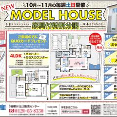 不動産チラシ