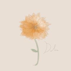 お花