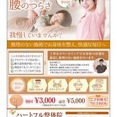 整体院A4片面チラシデザインサンプル