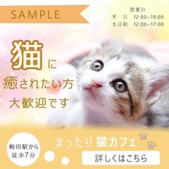猫カフェの宣伝用バナー