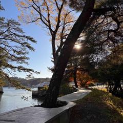 旅行は毎度自然が多いです。