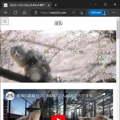 キャットカフェのウェブ・YouTube運用に係る技術支援