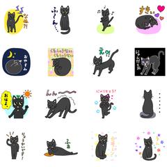 黒猫のマチカちゃん