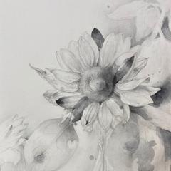 花の鉛筆画