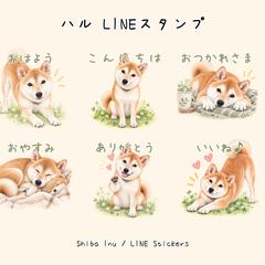 柴犬のLINEスタンプ制作