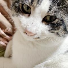 ペットちゃん向けのヒーリングも今後導入予定です☆