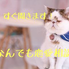 優男のぼくが【なんでも恋愛相談】文字で相談乗ります