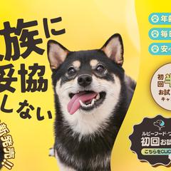【架空案件】ペットフードバナー