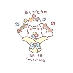 毎日ねこ