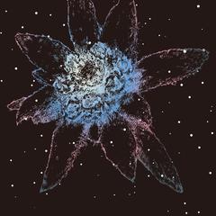 STARDUST Edelweiss