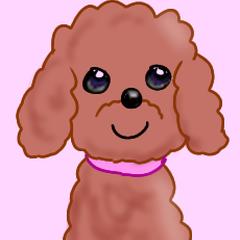 親友のワンちゃん