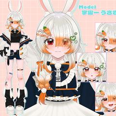 Model:宇宙一うさぎ様