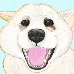 ペットイラスト作成（デジタルイラスト見本）