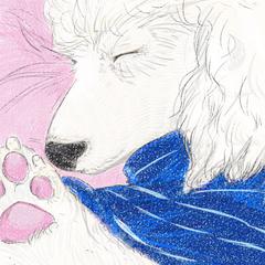ペットイラスト作成（デジタルイラスト見本）トイプーさん
