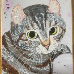 キジ猫さん