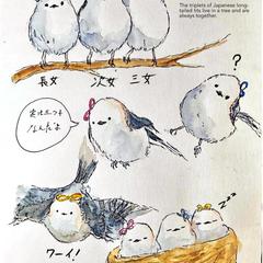 三つ子のシマエナガ