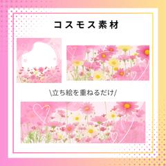 Vライバー向けコスモス素材返礼品