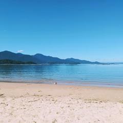 生まれ育った海