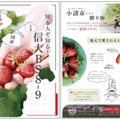 コトブキファームデポの販売促進チラシの制作