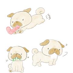 Instagram掲載　イラスト